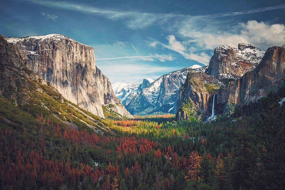 Best National Park to visit in California