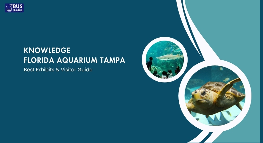 Florida aquarium tampa