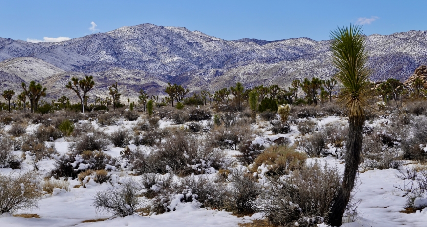 Best National Park to visit in California