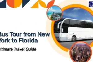 Bus Tour from New York to Florida