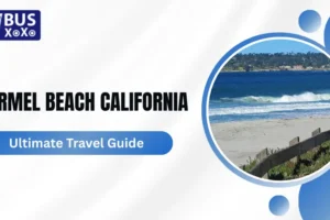 Carmel Beach California Ultimate Travel Guide 2025