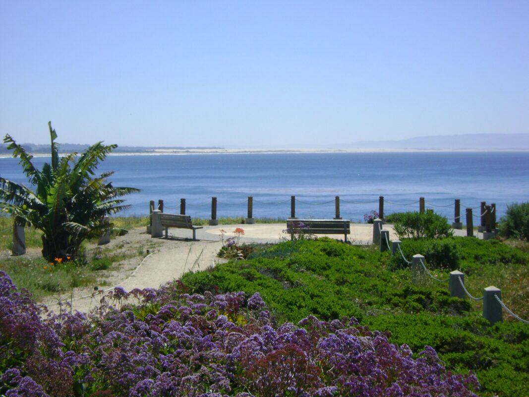 Pismo Beach California
