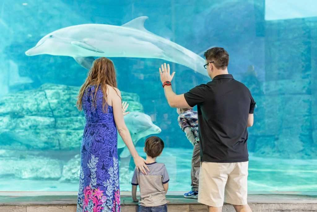 Explore Clearwater Marine Aquarium
