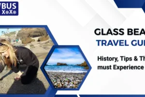 Glass Beach Travel Guide: History, Tips & Things must Experience
