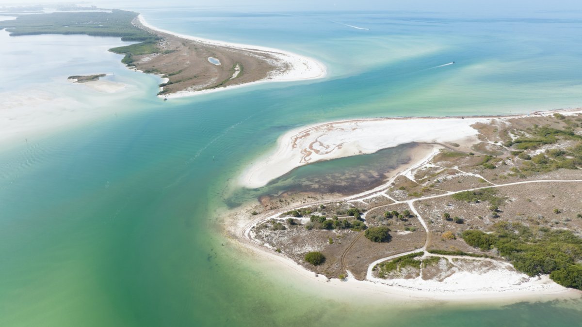 Honeymoon Island 