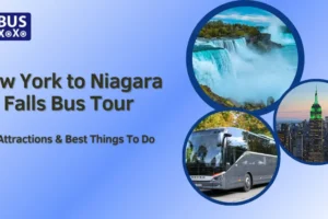 New York to Niagara Falls Bus Tour: Top Attractions & Best Things To Do