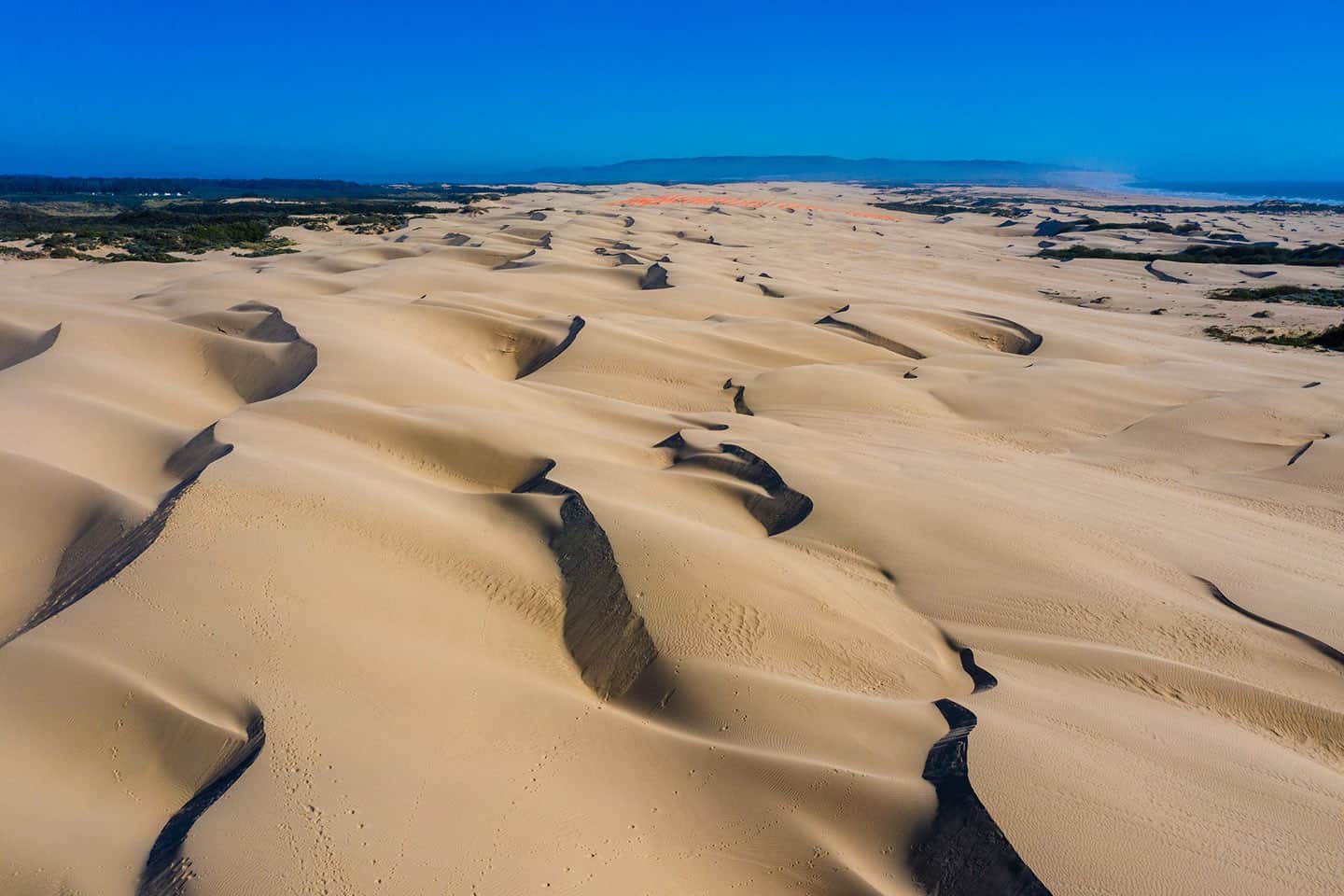 Oceano Dunes