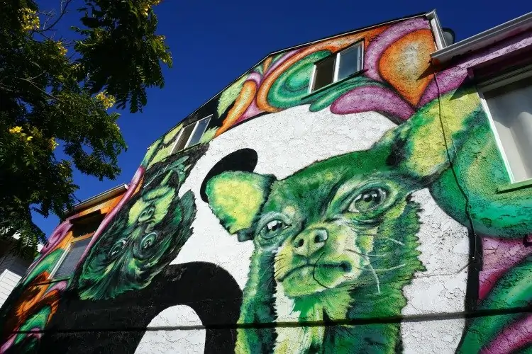 Street Art & Murals , California