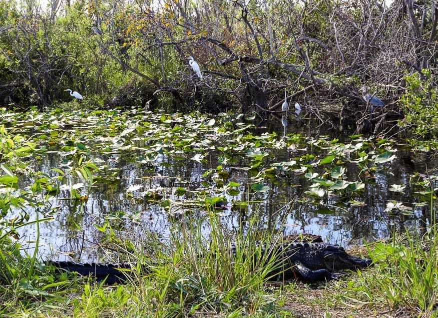 Everglades National Park