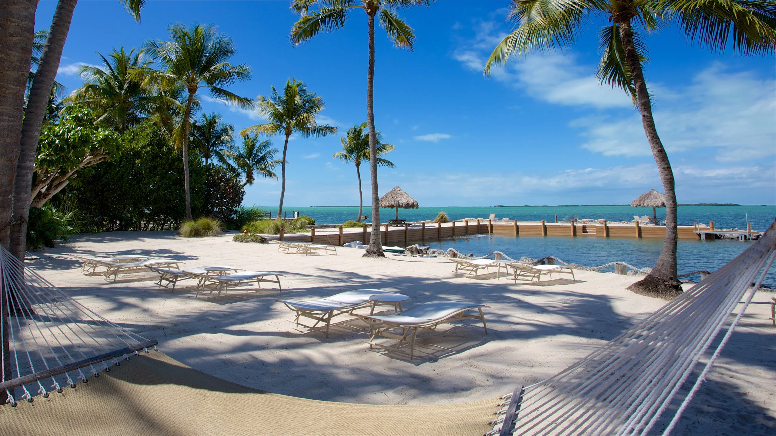 The Best Group Day Trips from Miami