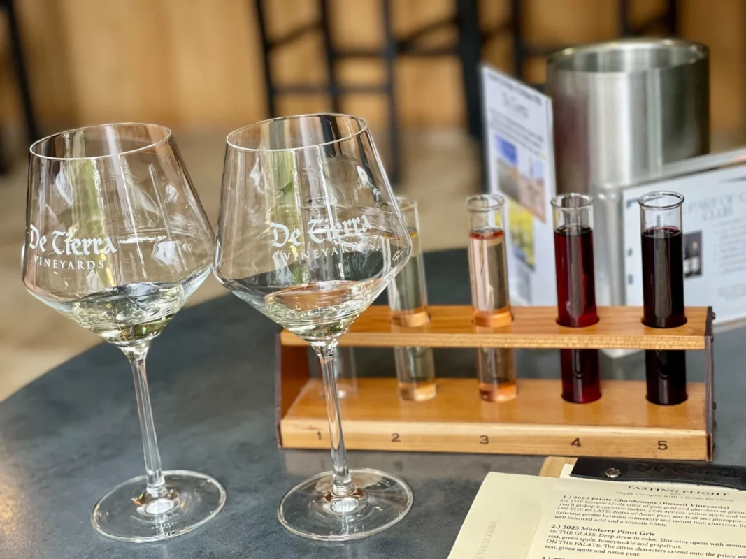 Wine Tasting in Carmel Beach 