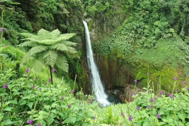 Best Places To Visit In Costa Rica Bejos del toro