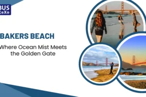 Bakers Beach Where Ocean Mist Meets the Golden Gate