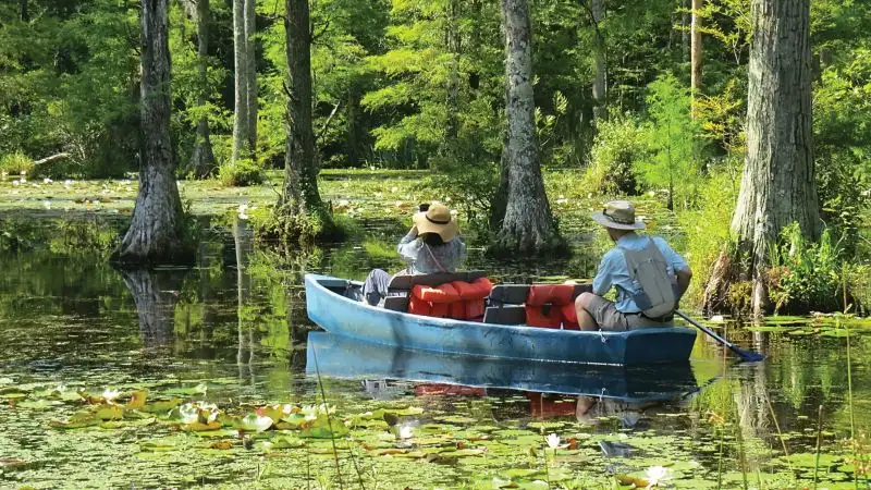 Boat Tours at Cypress Gardens