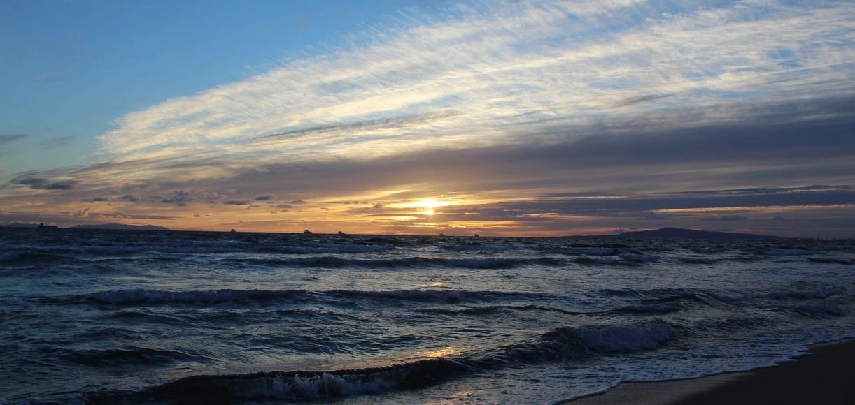 Bolsa Chica State Beach