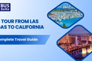 Bus Tour from Las Vegas to California Complete Travel Guide
