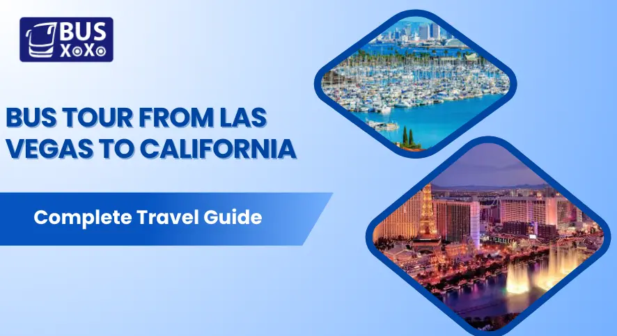 Bus Tour from Las Vegas to California Complete Travel Guide