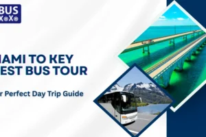 Miami to Key West Bus Tour Your Perfect Day Trip Guide