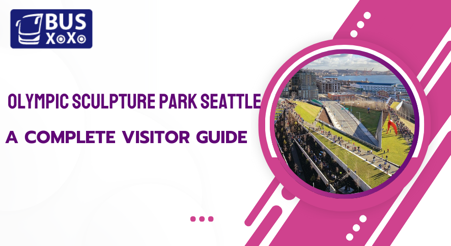 Olympic Sculpture Park Seattle: A Complete Visitor Guide