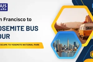 San Francisco to Yosemite Bus Tour