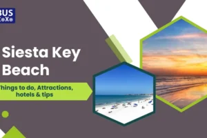 Siesta Key Beach Guide Things to do, Attractions, hotels & tips