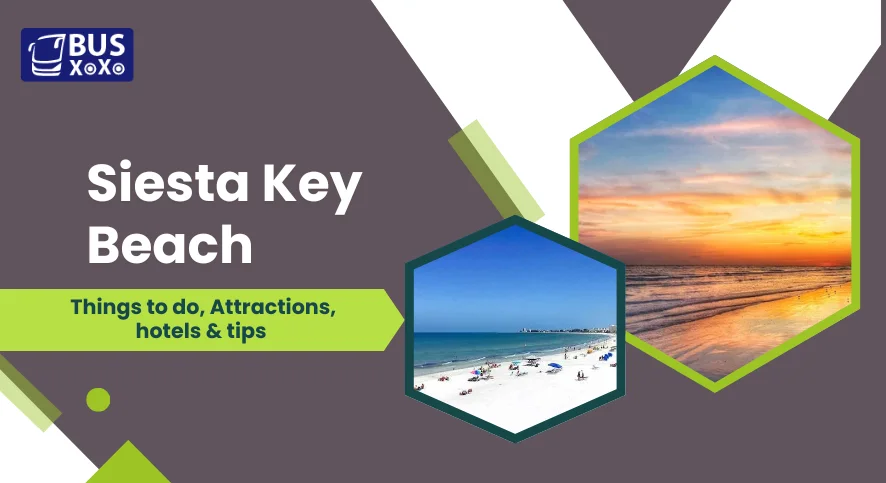 Siesta Key Beach Guide Things to do, Attractions, hotels & tips