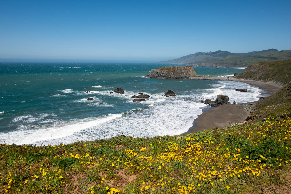 Sonoma Coast State Park
