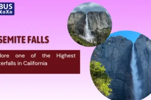 Yosemite Falls: Explore one of the Highest Waterfalls in California