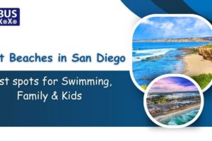 Best Beaches in San Diego
