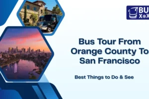 Bus Tour From Orange County To San Francisco