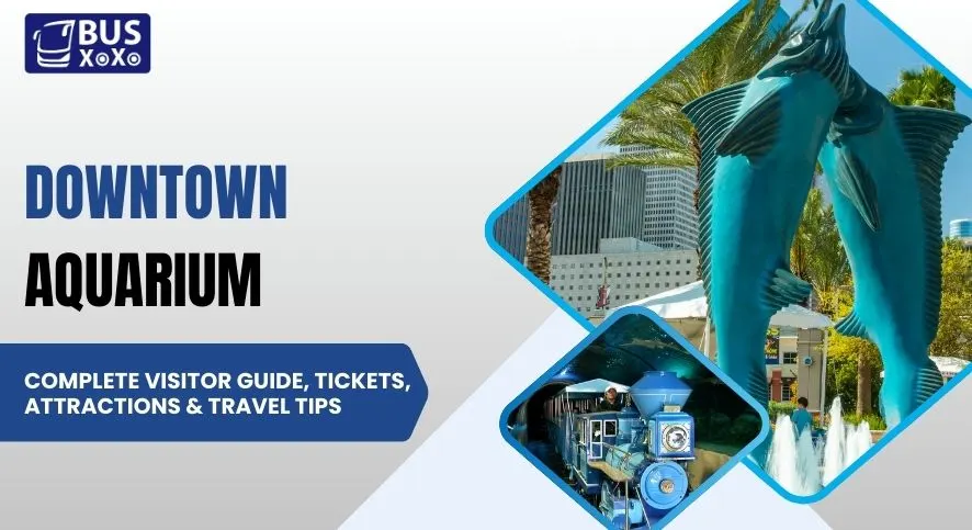 Downtown Aquarium Complete Visitor Guide, Tickets, Attractions & Travel Tips