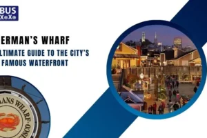 Fisherman’s Wharf The Ultimate Guide to the City’s Most Famous Waterfront