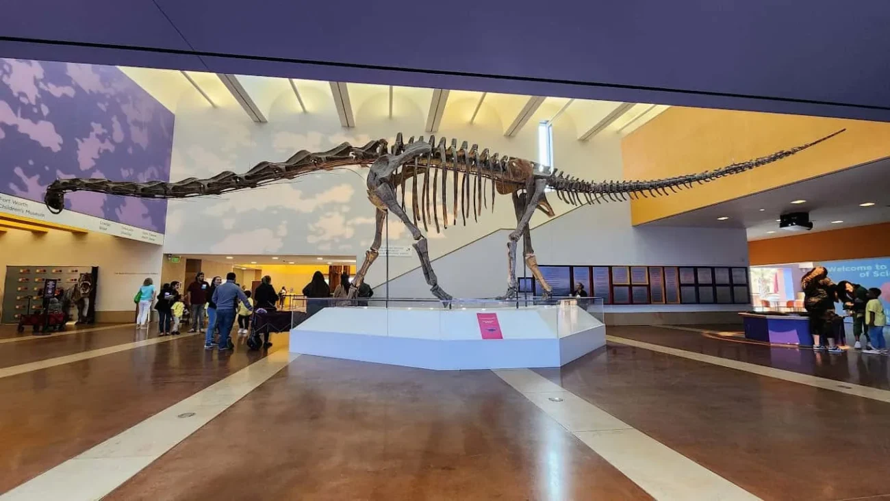 Museum of Science and History