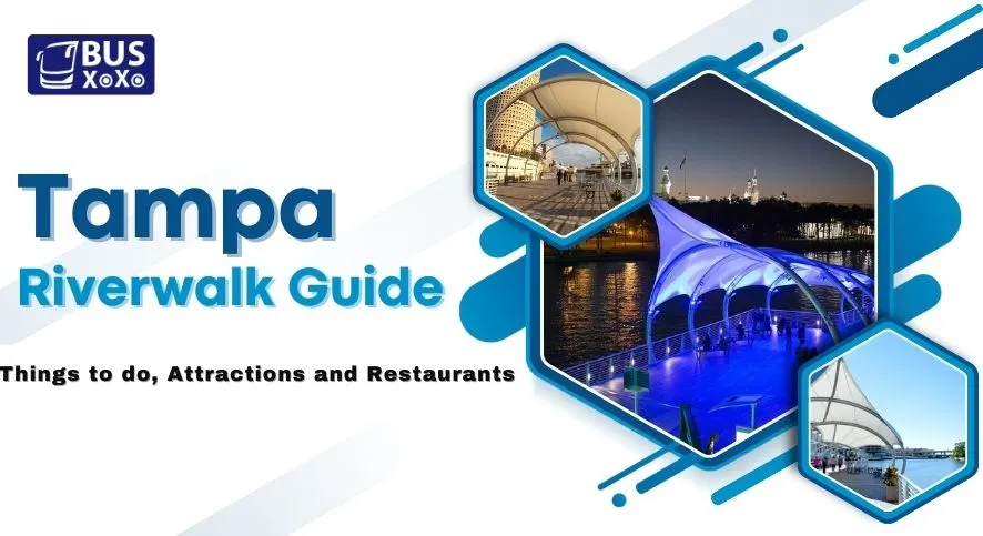 Tampa Riverwalk Guide Things to do, Attractions and Restaurants
