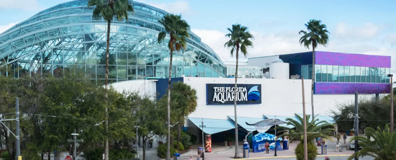 Sparkman Wharf Tampa
The Florida Aquarium  