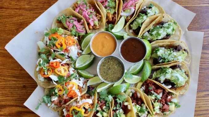 Museum Of Contemporary Art Of Jacksonville