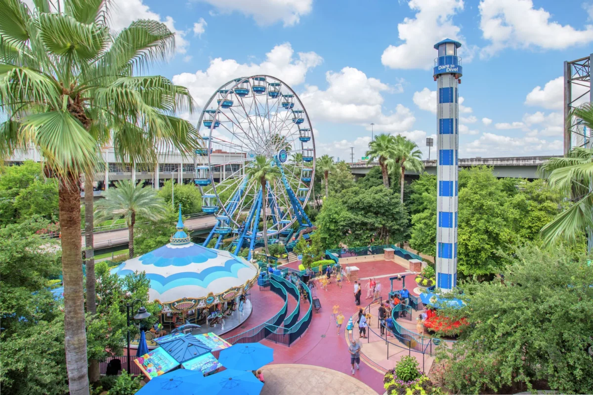 Ferris Wheel & Amusement Rides