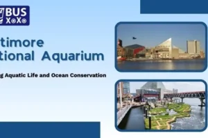 Baltimore National Aquarium: Exploring Aquatic Life and Ocean Conservation