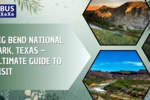 Big Bend National Park, Texas – Ultimate Guide to Visit