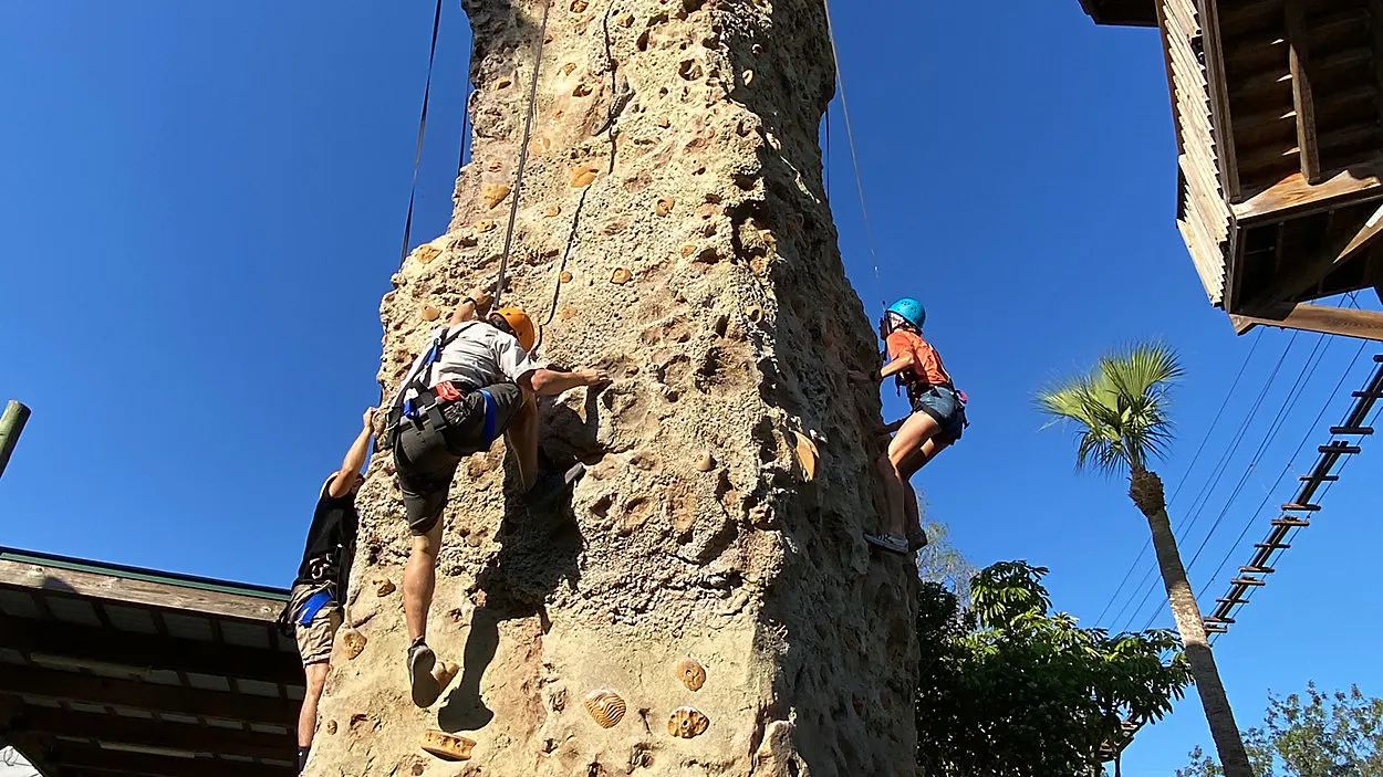Cro Rock Adventure Gatorland