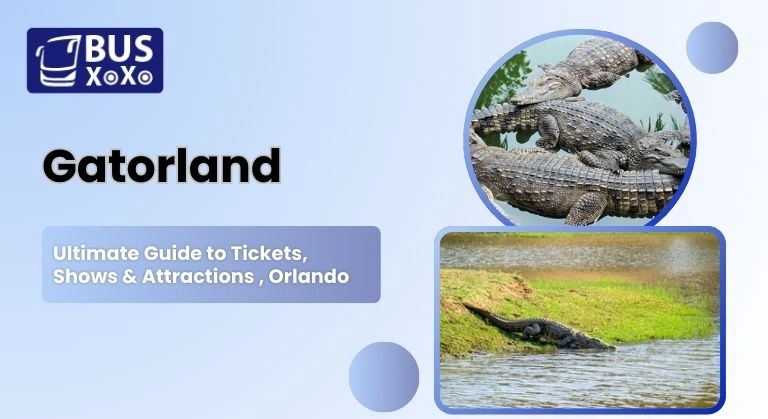 Gatorland Ultimate Guide to Tickets, Shows & Attractions , Orlando