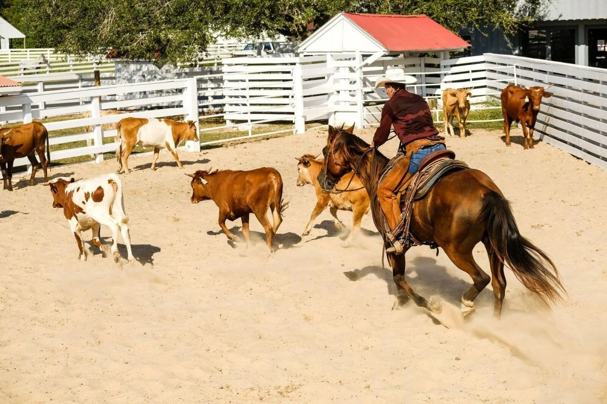 george ranch historical park img.