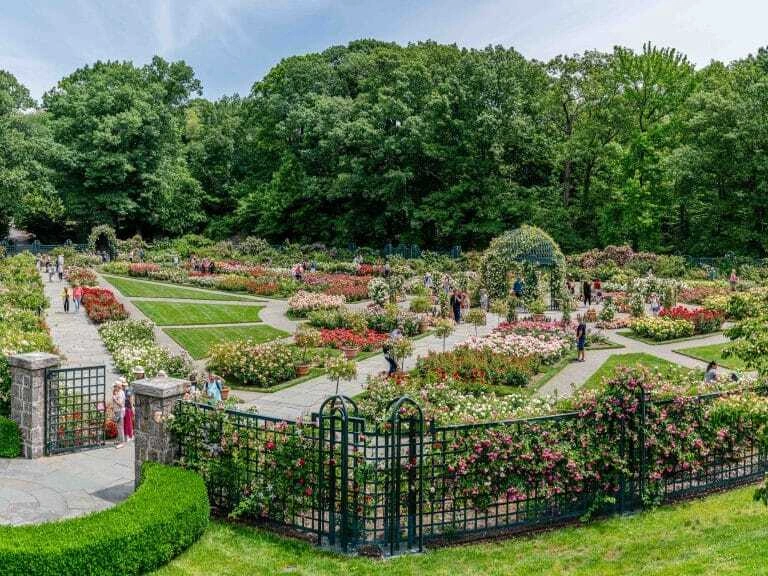 New York Botanical Garden