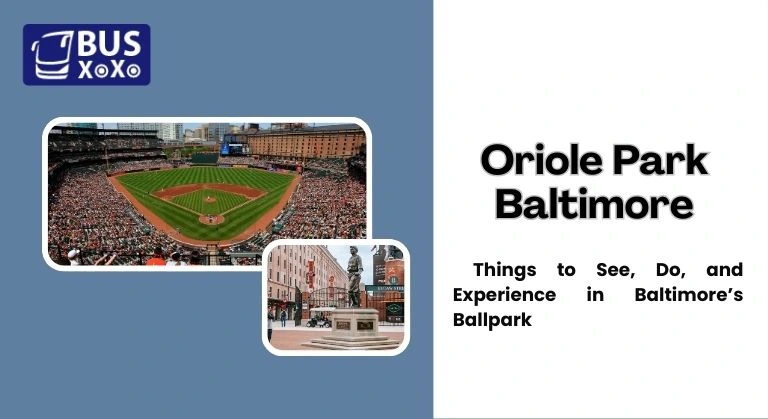 Oriole Park Baltimore Things to See, Do, and Experience in Baltimore’s Ballpark