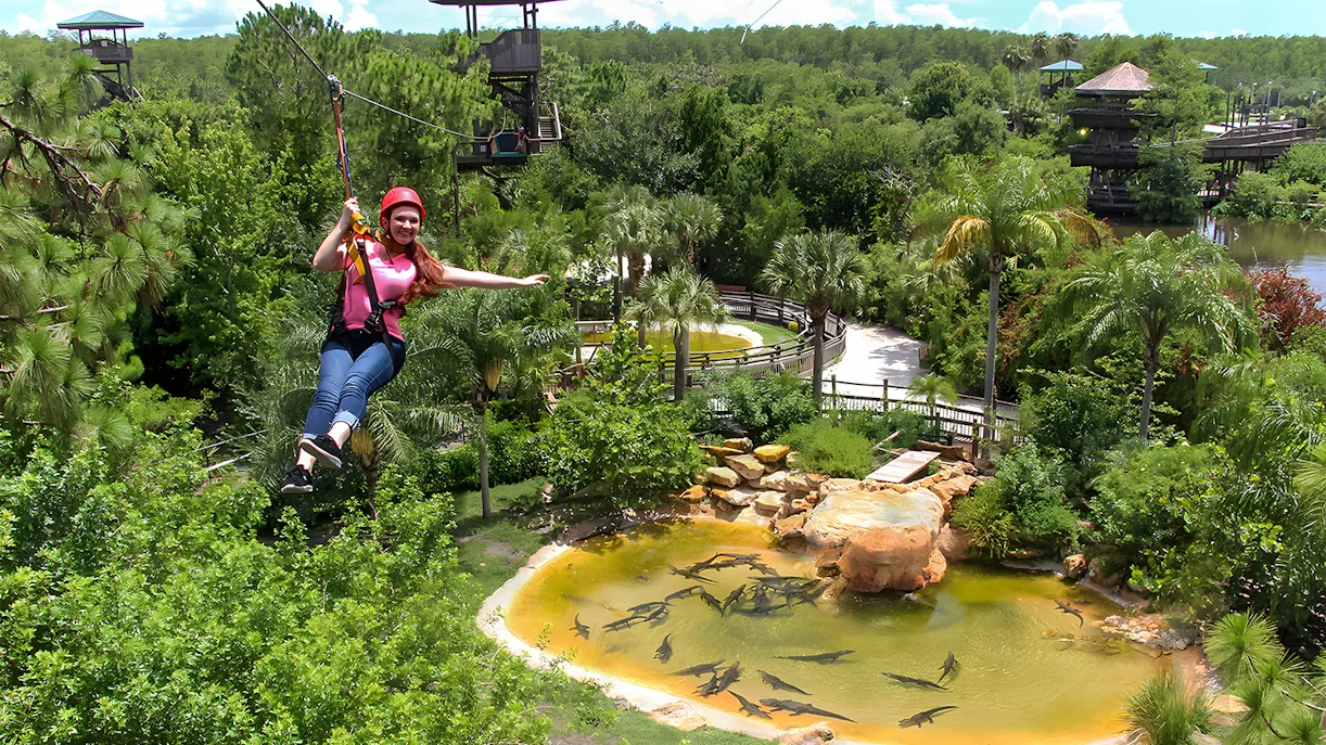 Gatorland Screamin Gator Zip Line