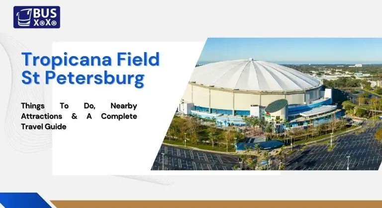 Tropicana Field St Petersburg: Things To Do, Nearby Attractions & A Complete Travel Guide