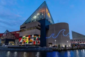 Visit The National Aquarium at Inner Harbor Baltimore
