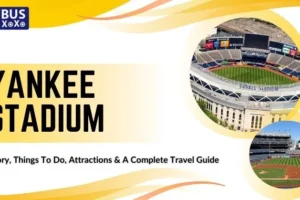 Yankee Stadium: History, Things To Do, Attractions & A Complete Travel Guide