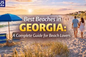 Best Beaches in Georgia Image