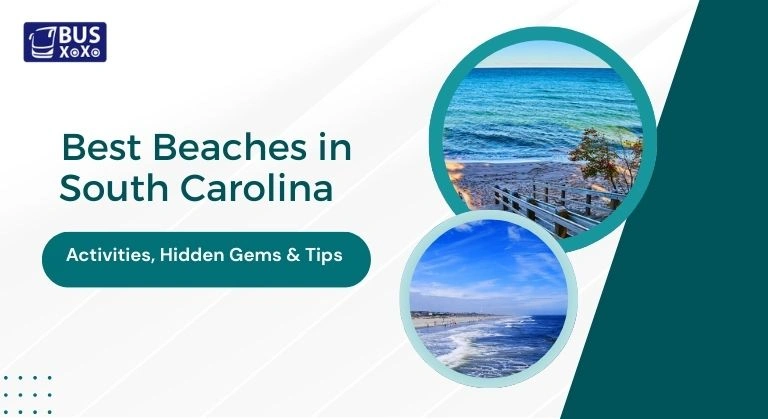 Best Beaches in South Carolina image